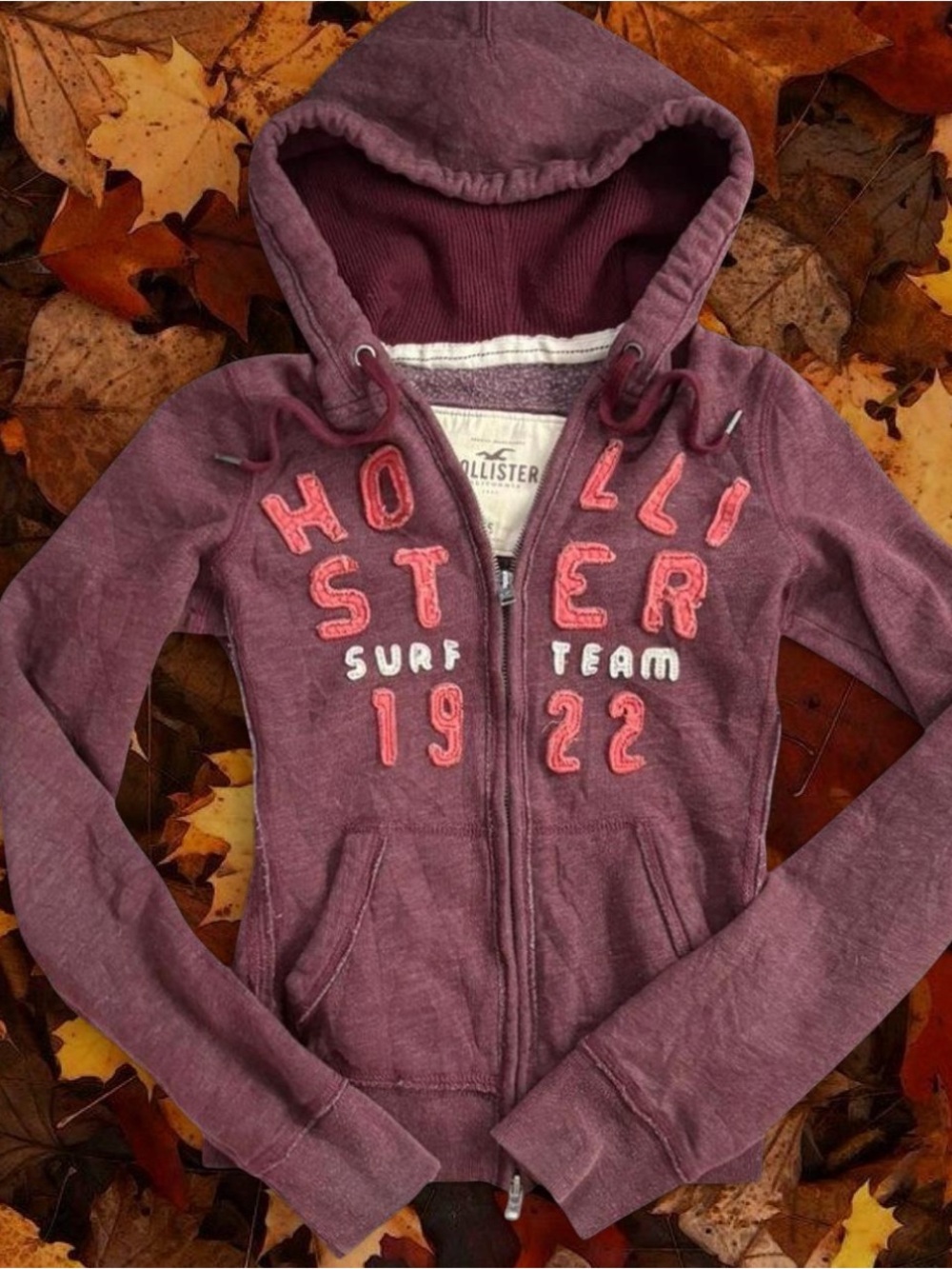 Hollister Women's  Zip-Up Hoodie with Embroidered Surf Team Logo